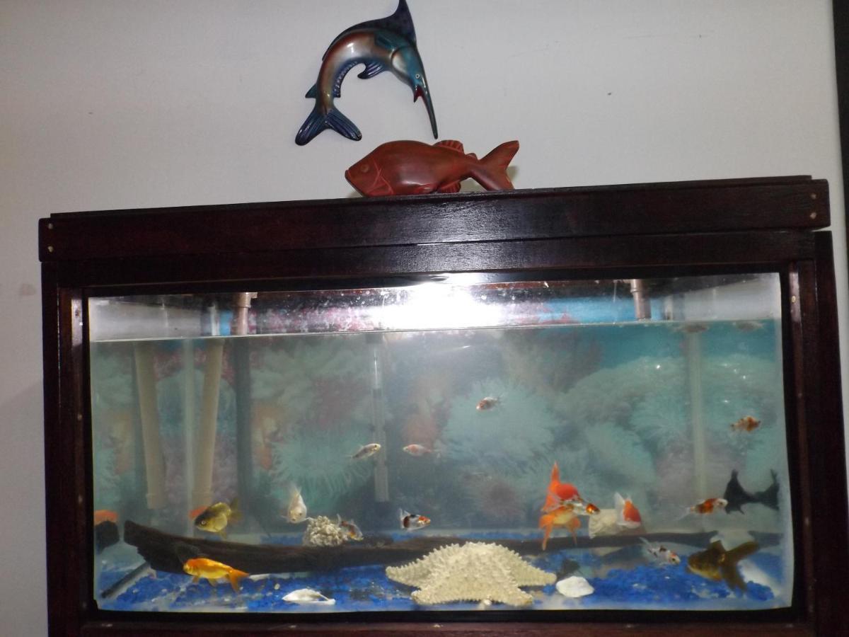 Cumbica Hostel Lize מראה חיצוני תמונה